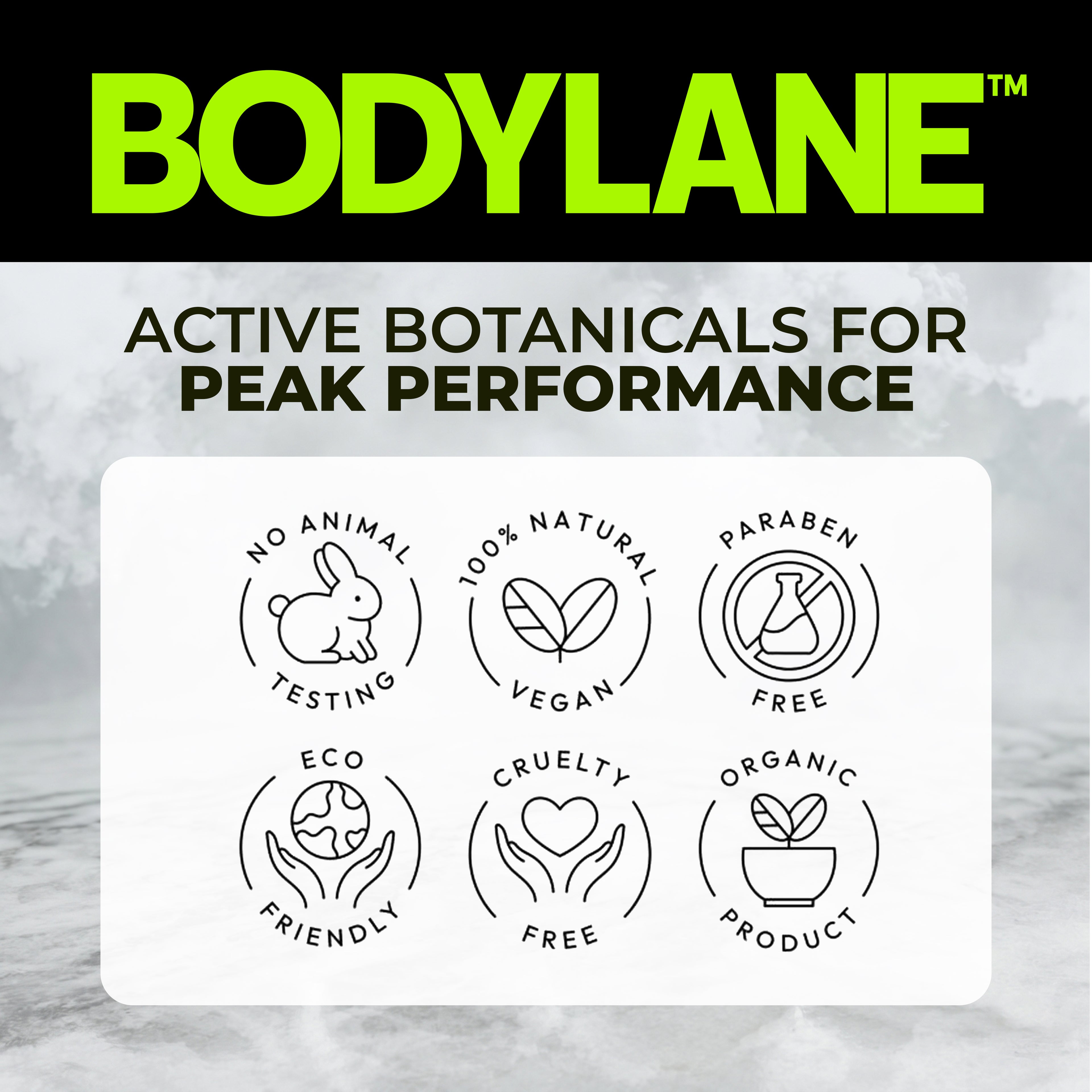 BODYLANE PROMISES 